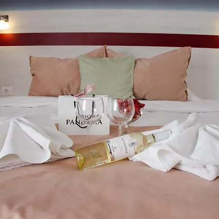 Banja Гостевой дом 4*